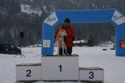 Lenk 2012 SM